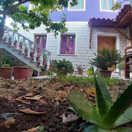 Guesthouse Hlias Gloria بيرات المظهر الخارجي الصورة
