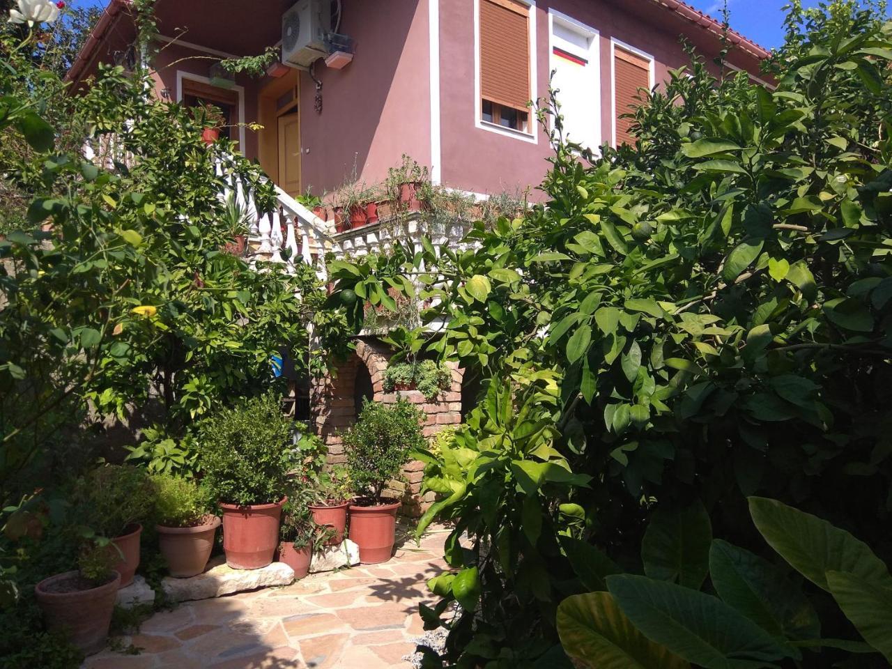 Guesthouse Hlias Gloria بيرات المظهر الخارجي الصورة